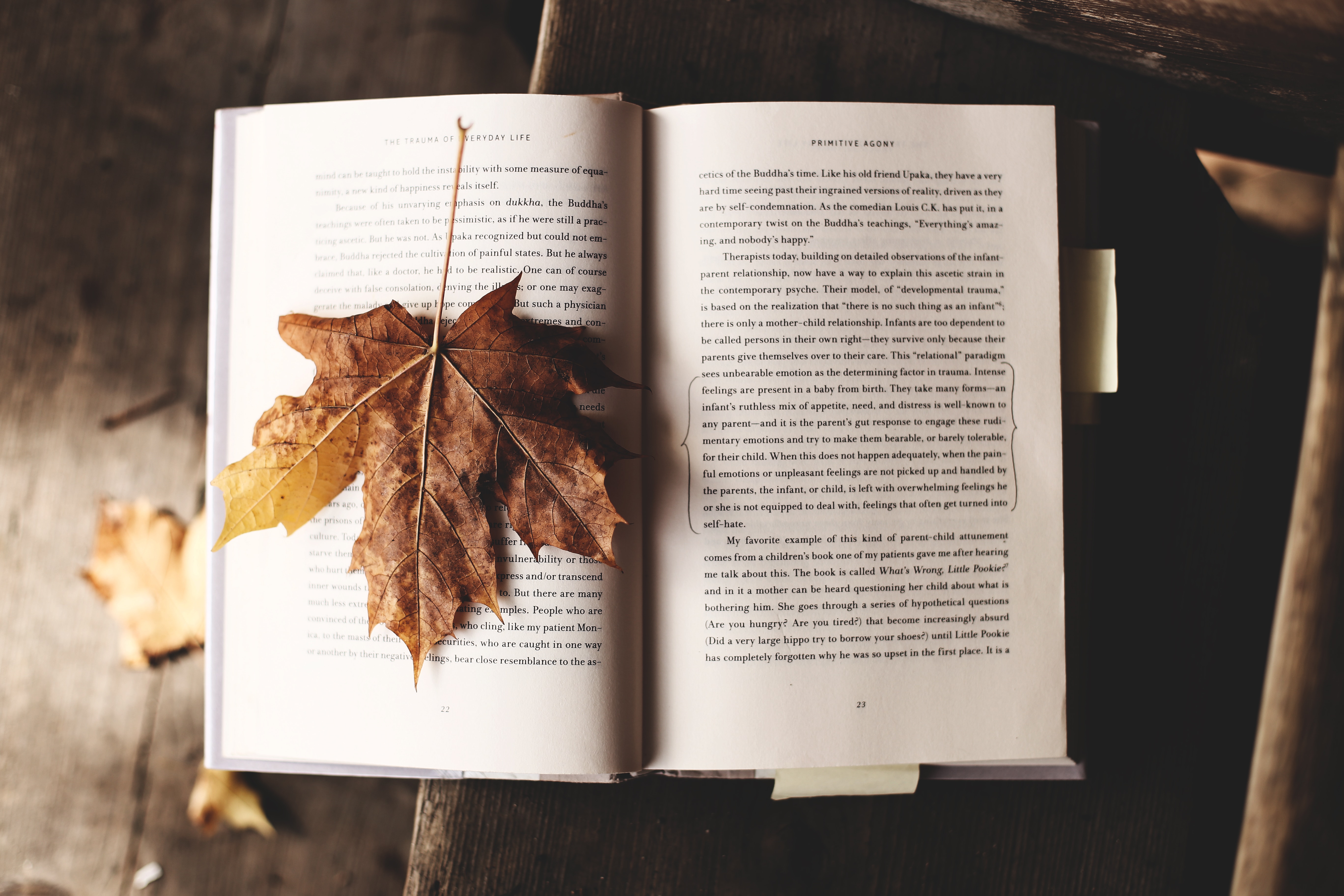 Autumn Reads: Books You’ll Fall For This Season