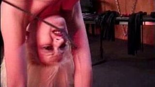 Small tits blonde hanged upside down and spanked - porn video