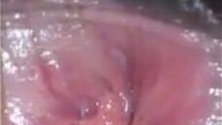 wet little pussy - porn video